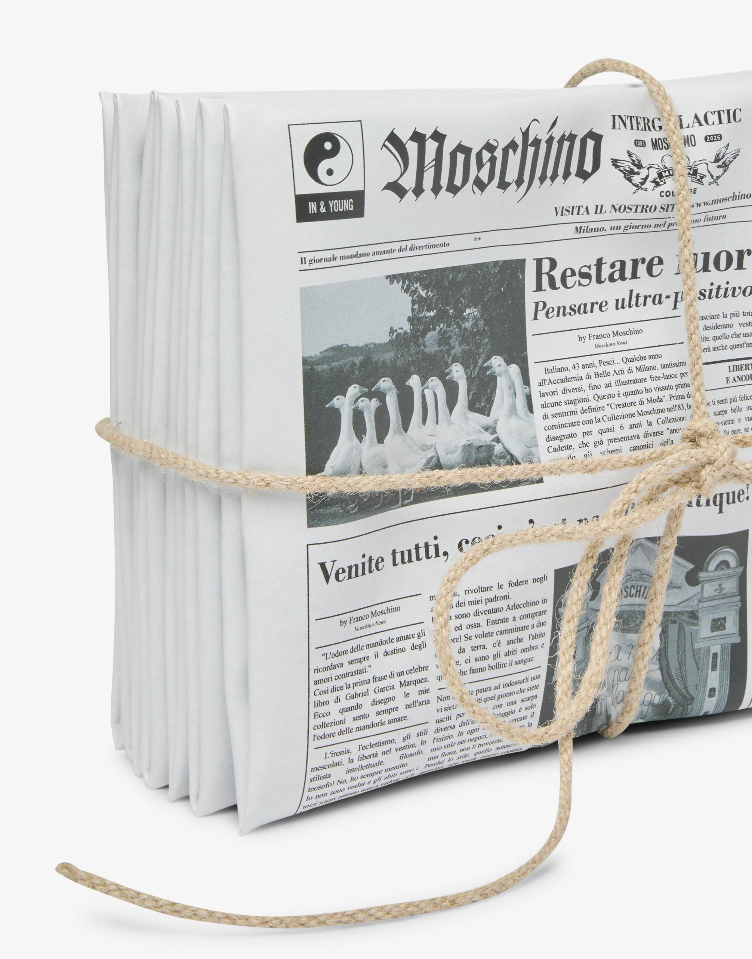 Newspaper bag